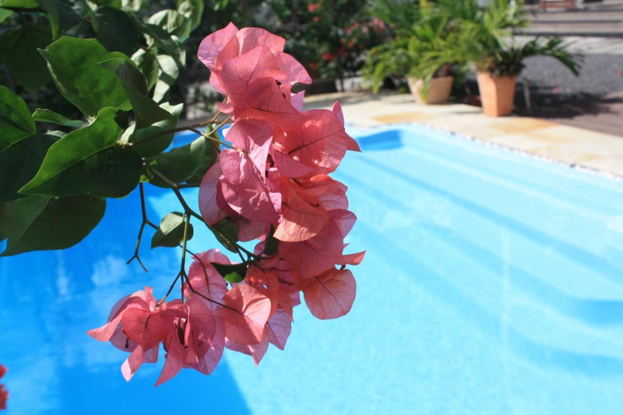 Roi Holiday Stay Grand-Baie Exterior photo